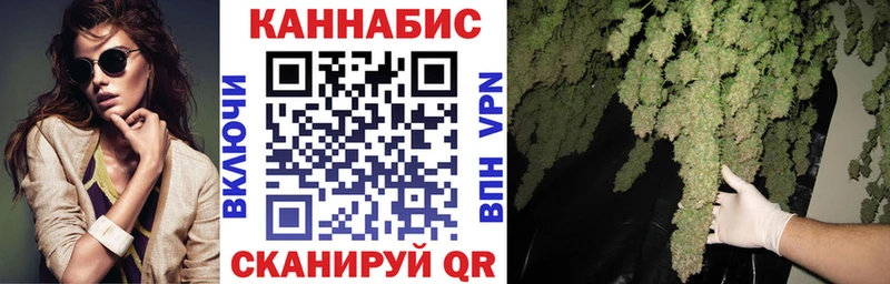Каннабис OG Kush  Павловск 